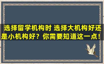 选择留学机构时 选择大机构好还是小机构好？你需要知道这一点！